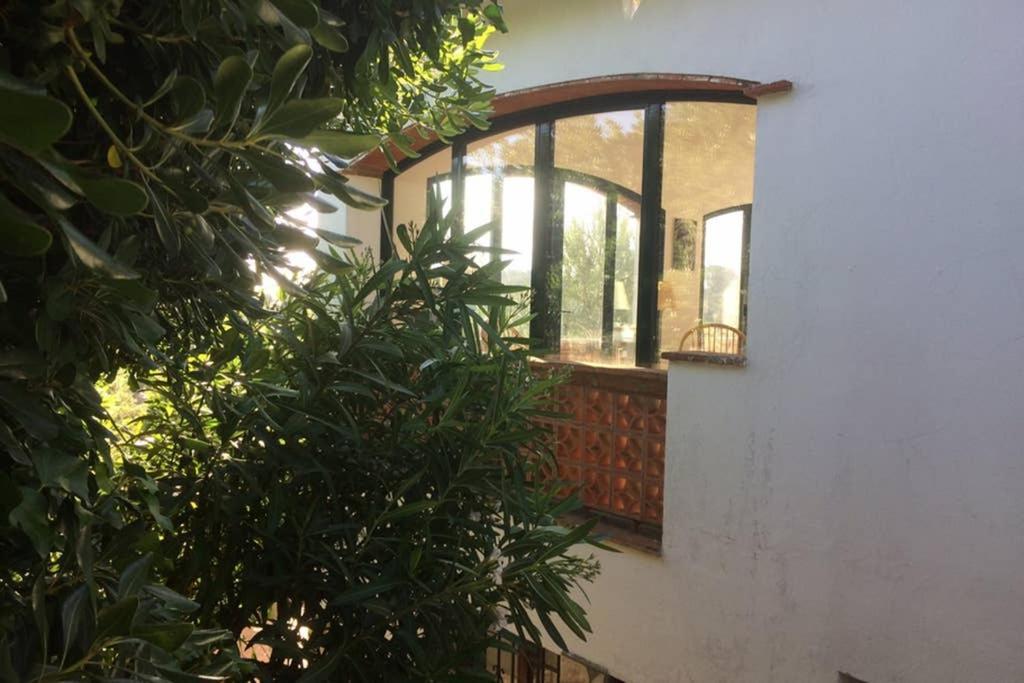 Jolie Villa Vue Mer - 100Km Au Nord De Barcelone - Pals Exterior foto